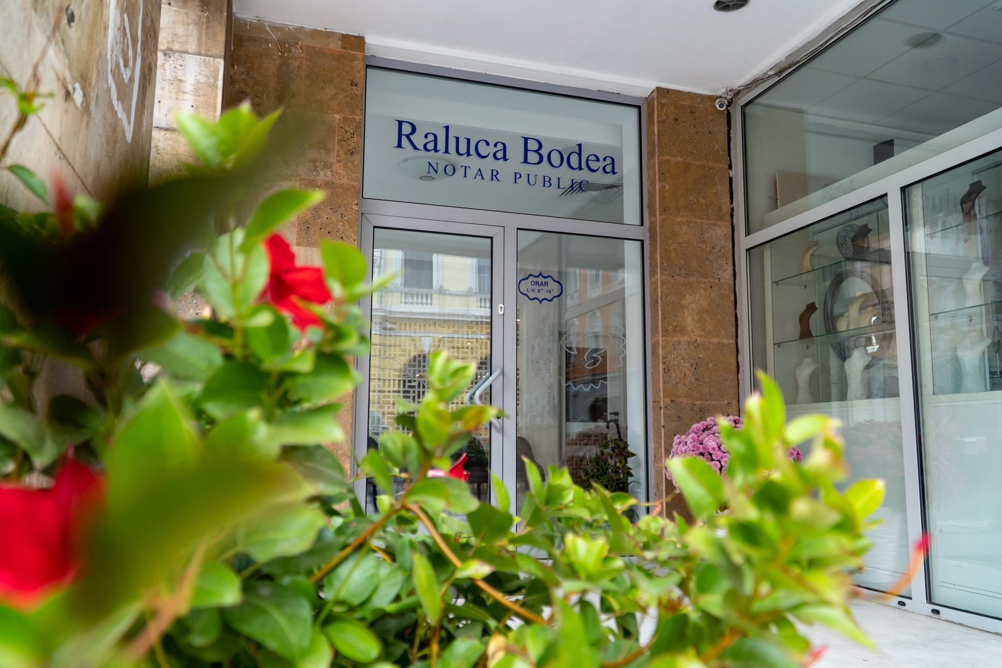 foto-raluca-bodea-13